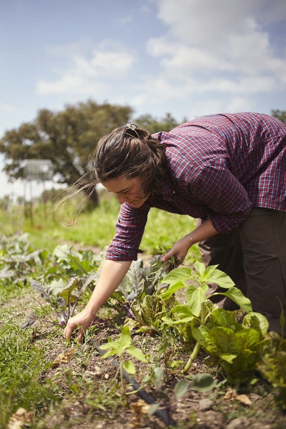 Permaculture Practices for Daily Life in Community